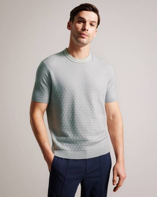 Top Ted Baker Hanam Uomo Grigie | JZGHP9175