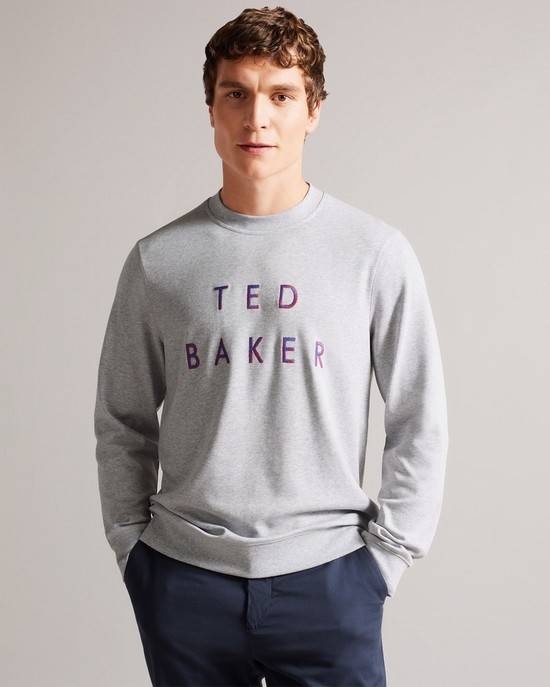 Top Ted Baker Sonics Uomo Grigie | ODPFR0674